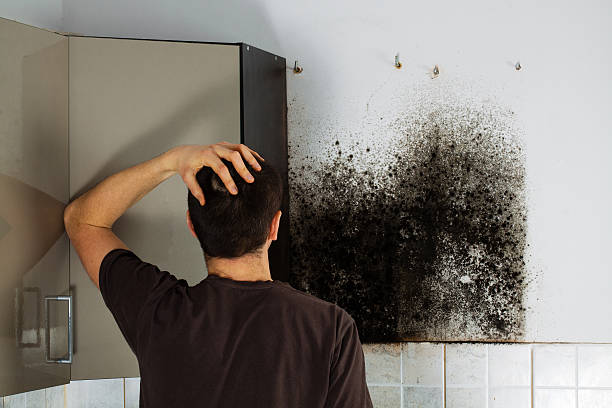 Mold Testing and Removal in Nashua, NH